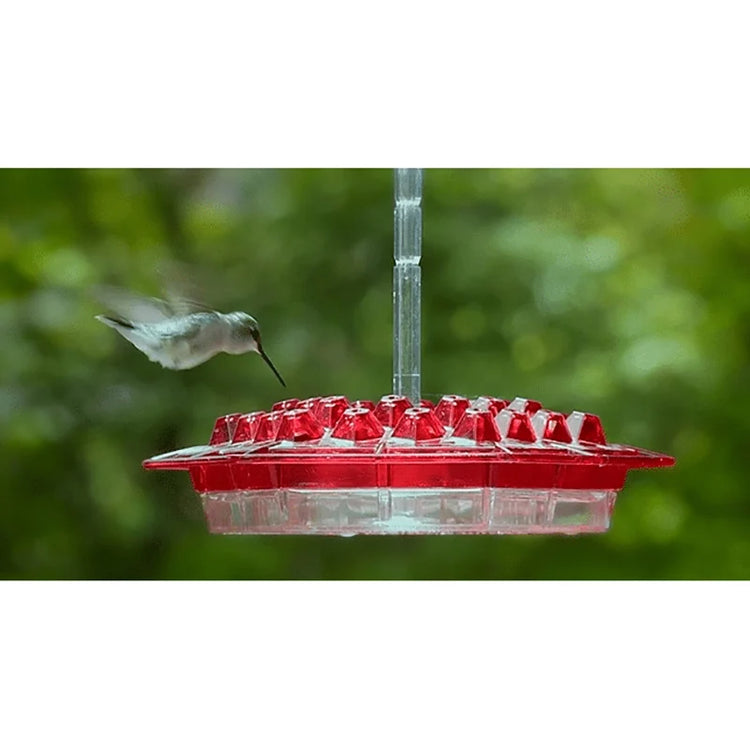 Hummingbird Feeders