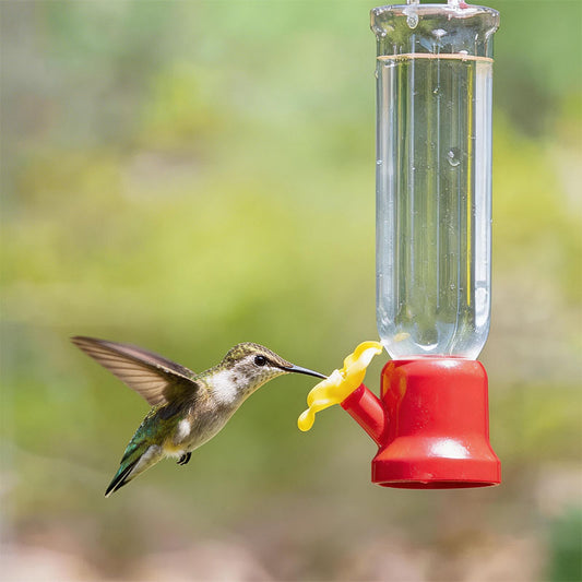 Sherum New Leak-Proof Design Hummingbird Feeder (4 Pack)