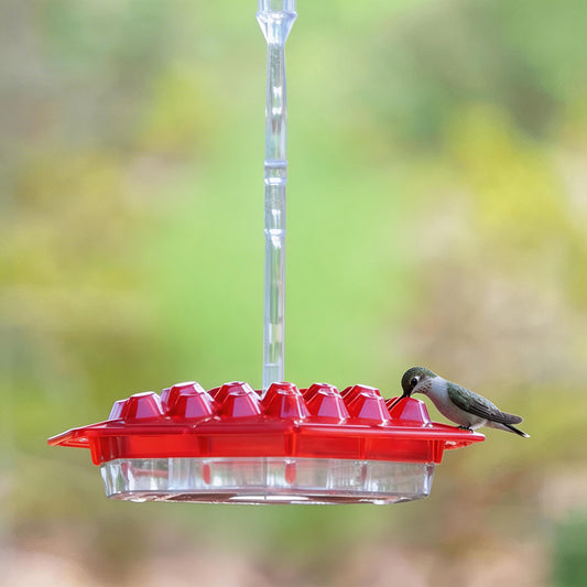 Sherum Sweety Hummingbird Feeder