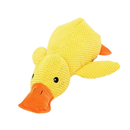 Sherum Calm Duck